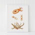octopus coastal wall art